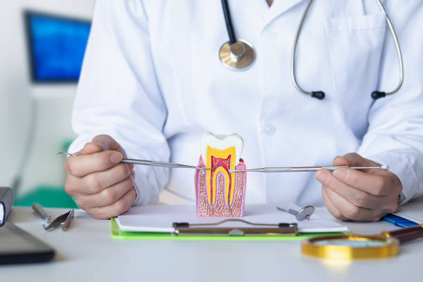 Best Emergency Root Canal Treatment in Clermont, GA